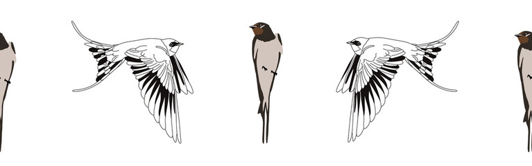 Border icon border. Bird feather silhouette symbol. Bird border isolated on white background	
