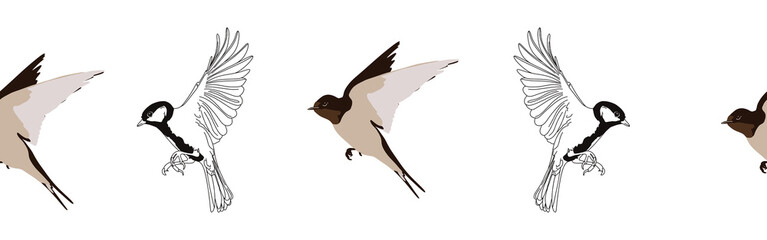 Border icon border. Bird feather silhouette symbol. Bird border isolated on white background	
