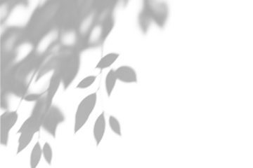  shadow overlay effects of realistic abstract natural tree leaves shadow on wall background,Summer sunlight dappled shadow overlay effect,abstract shadow background with leaves