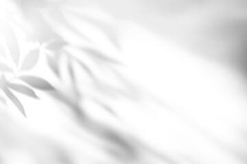 shadow overlay effects of realistic abstract natural tree leaves shadow on wall background,Summer sunlight dappled shadow overlay effect,abstract shadow background with leaves