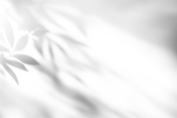 shadow overlay effects of realistic abstract natural tree leaves shadow on wall background,Summer sunlight dappled shadow overlay effect,abstract shadow background with leaves