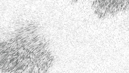 Abstract Grunge Concrete Wall Texture – Distressed Black & White Scratches, and Monochrome Overlay, Grunge Texture Overlay Pack – Layers, and Retro Effects vector design on transparent background.