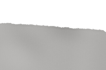 Gray, uneven horizontal plane with ragged, dark edge