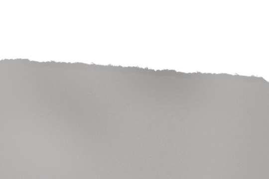 Gray, uneven horizontal plane with ragged, dark edge