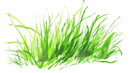 Obraz premium Close-Up of Lush Green Flora: Isolated Moss & Leaf Texture on White Background for Nature Design