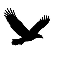 Fototapeta premium Black Silhouette Flying Eagle with Wide Wings Vector Isolated on White Background