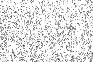 Obraz premium Abstract line art backdrop pattern texture
