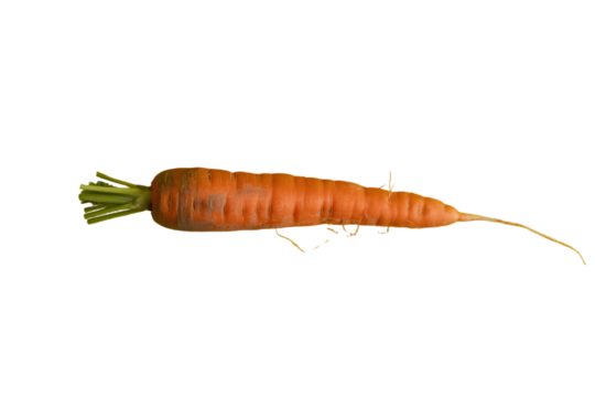 Fresh organic carrot isolated on transparent background