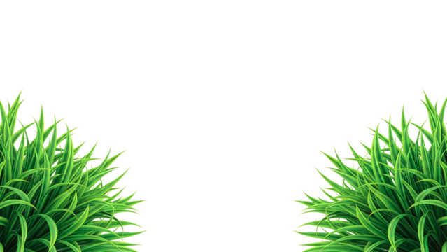 Green grass against a blank canvas, symbolizing growth and nature's vibrancy. This image features lush green grass in the corners, providing a fresh. transparent background