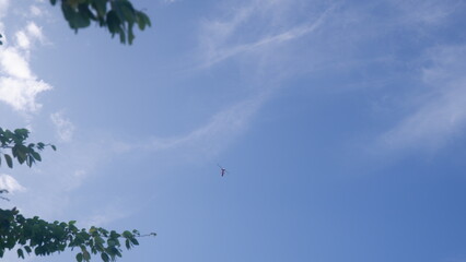 Scene of clear blue sky with soft white cloud