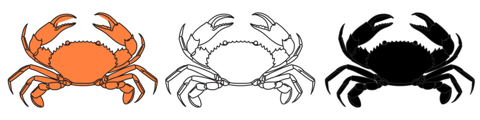 Hand drawn line drawing of sea crab .Red crab,for a fish restaurants,For packaging in markets and in stores. Black and white crab vector illustration.Stone crab flat,sea crab silhouette vector 
