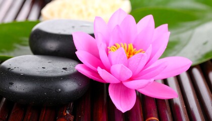 Pink lotus flower on bamboo mat with stones