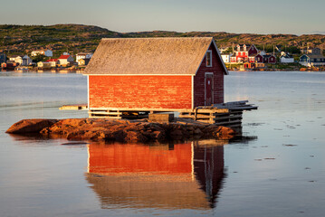 Fototapety na wymiar - Fototapeta24.pl