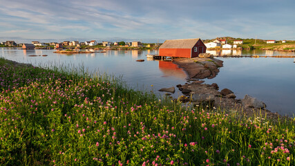 Fototapety na wymiar - Fototapeta24.pl