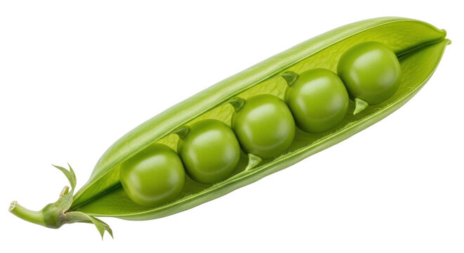 Isolated Fresh Green Peas in Pod