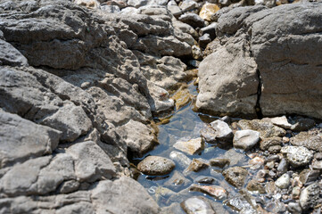 Gray rocks with water, a horsefly perched on a rock