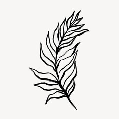Fern line art, minimal black graphic illustration