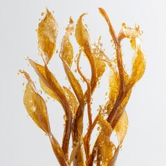 Isolated on bright white background, fresh Ascophyllum nodosum seaweed strands with natural olive-brown color and glistening surface. Clean studio lighting, ultra-sharp detail