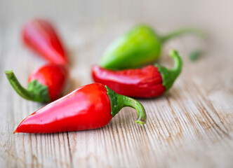 Chilli und Pfefferoni, frisch vom Strauch geerntet - Balkonernte