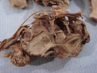 Belamcanda chinensis rhizome, known as Sagan, is used in Korean medicine. With pungent taste and unique aroma, it clears heat, detoxifies, reduces phlegm, and treats sore throat, cough, 