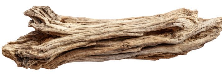 Light-brown, weathered driftwood piece with intricate patterns