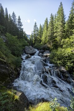 Waterfall at a roaring mountain stream between trees, Seebach stream in the Burkhardklamm gorge, Ridnauntal valley, South Tyrol, Italy