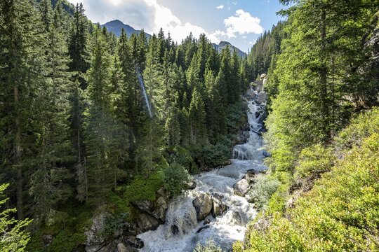 Waterfall at a roaring mountain stream between trees, Seebach stream in the Burkhardklamm gorge, Ridnauntal valley, South Tyrol, Italy