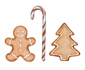 Gingerbread man, Christmas tree cookie and striped candy cane. Watercolor drawing on white background. Perfect for holiday cards, packaging, napkins, kitchen decor, invitations, and festive design.