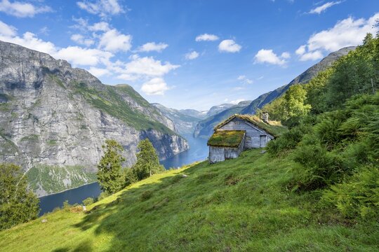 Blomberg G&aring;rd, historic mountain farm with grass roof on a steep mountainside above the Geirangerfjord, view of idyllic fjord landscape, near Geiranger, M&oslash;re og Romsdal, Norway