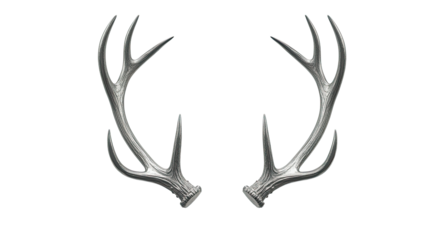 Majestic Pair of Deer Antlers on White.
