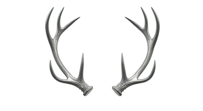 Majestic Pair of Deer Antlers on White.