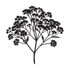 A Symbolic and Beautiful Baby's Breath, a Cluster of Tiny White Blooms Representing Purity, Innocence, and Everlasting Love for Weddings and Romantic Occasions