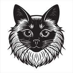 A Fluffy Portrait of a Birman Cat, a Playful and Adorable Feline with a Color-Pointed Coat, White Paws, and a Plumed Tail