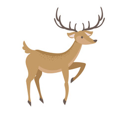 Standing Deer Illustration