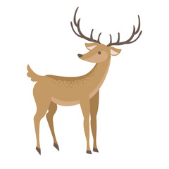 Elegant Deer with Antlers Illustration