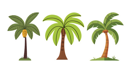banana tree vector illustration