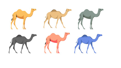 camel set vector