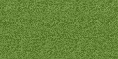 Palm Leaf Green leather, background texture pattern