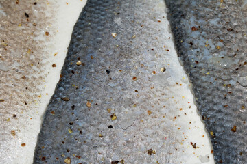 Macro close up of raw basa fish skin with scale detail ready for cooking © squeebcreative