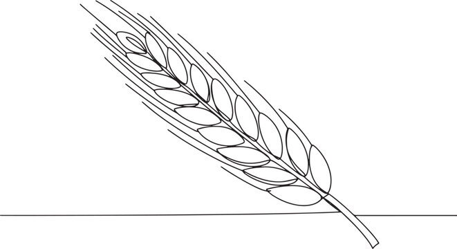 Minimalist line art illustration showcasing a single stalk of ry