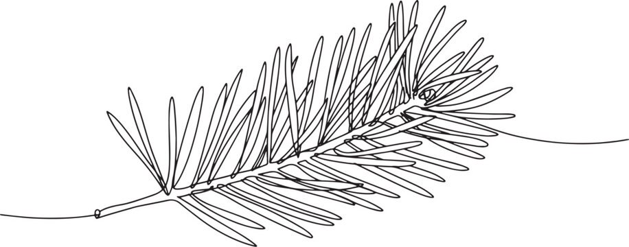 Elegant minimalist line art of an Austrian pine needle branch il