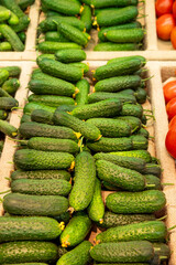Close up of row of fresh juice green cucumbers from local farmers on the counter of a greengrocer. Local organic vegetables in the store. Sustainable agriculture.