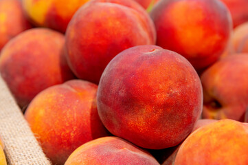 Fresh, Juicy Peaches Beautifully Arranged in a Market Display