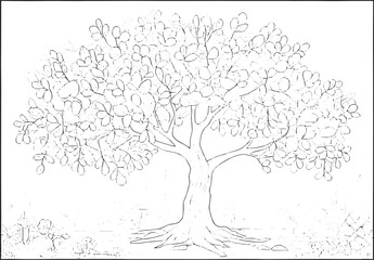 Fototapeta premium Sketch of Honey Locust tree with distinct leaves in a tranquil l