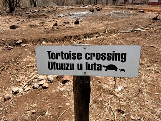 Tortoise crossing sign in natural habitat