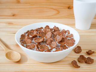 Chocolate breakfast cereal in a white bowl