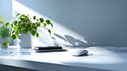 Bright sunlight streams through window illuminating houseplant and desk items on a ledge
