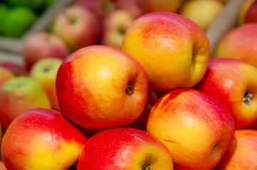 Attractive tasty red apples on the counter of a greengrocer. Ripe apples are ideal for diet and healthy eating