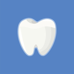 illustration of teeth, knowledge about dental health, healthy white teeth, dental health, dentist, body parts