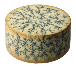 Wheel of stilton cheese with blue mold veins